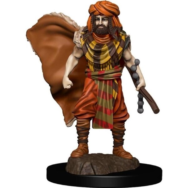 Dungeons & Dragons - Premium Human Druid Male Miniature