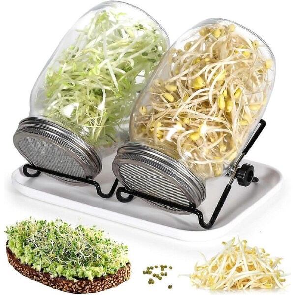 Sprout Jar, 2 x 1000ml Glass Sprout Jar Sprout Jar with 2 Stainless Steel Grid Lid, 2 Support, 1 Tray, Sprout Jar Kit for Broccoli Alfalfa Green Beans