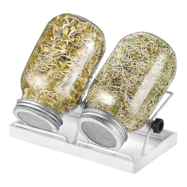 Sprossen Keimglas 2er Set keimgläser für Sprossenglas Sprouting jar mit 1 Wasserschale 2 Filtergitterabdeckungen aus Edelstahl 304 und 2 Ständer