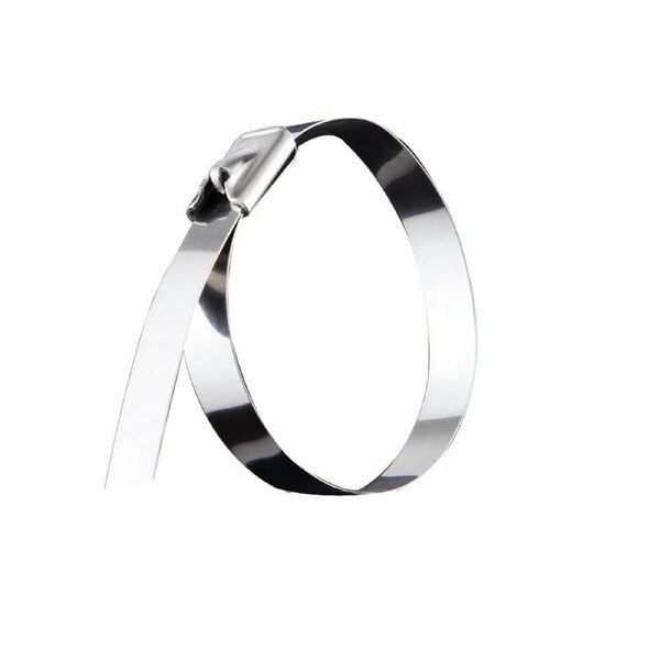 100X 200mm Cable Ties 304 Stainless Steel Self Locking Zip Bulk Mount Wrap Metal