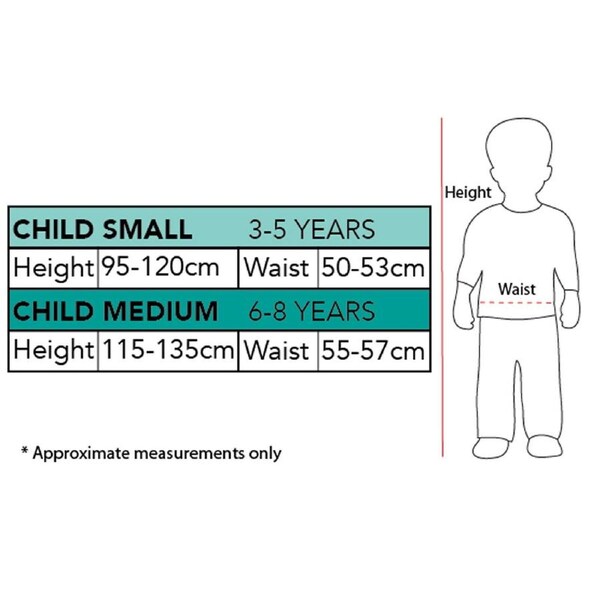 Disney Frozen 2 Girls Princess Elsa Classic Dress Up Halloween Costume 9-10y