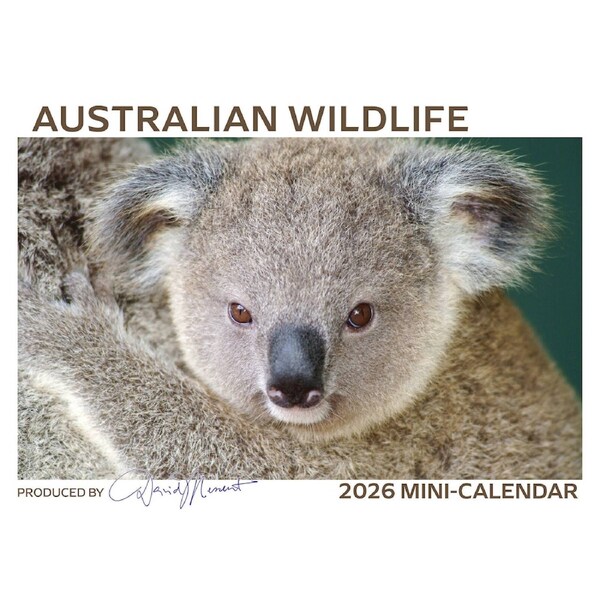 2026 Calendar David Messent Australian Wildlife Mini Wall MWL