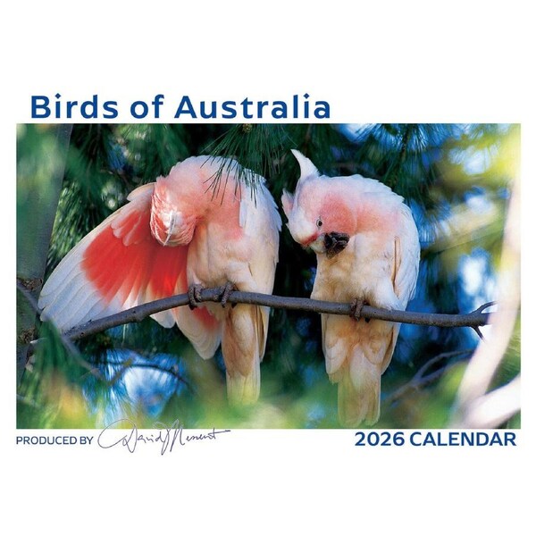 2026 Calendar David Messent Birds of Australia Horizontal Wall BC