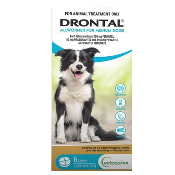 Drontal Allwormer Tabs For Dogs 10Kg (AQUA) 6 Tablets