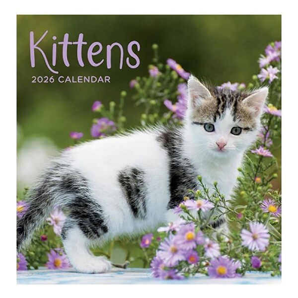 2026 Calendar Kittens Square Wall, Design Group CAL26036