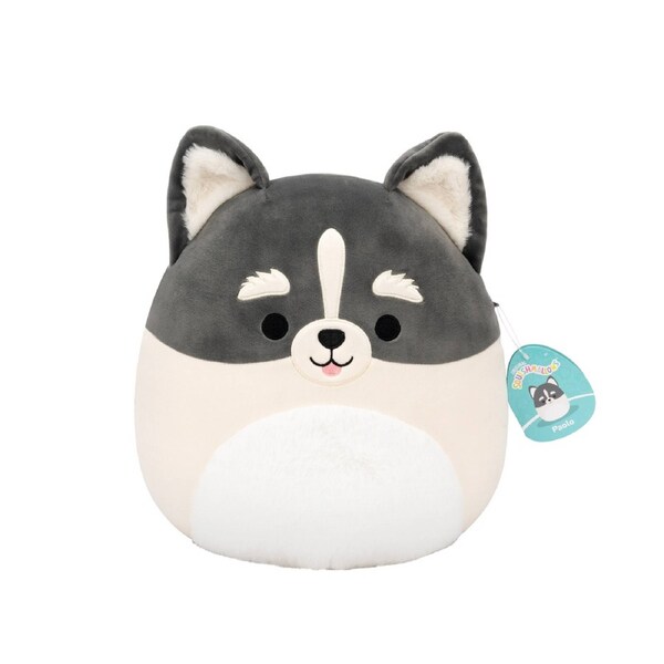 Squishmallows Paolo the Pomsky Dog 12 inch Plush
