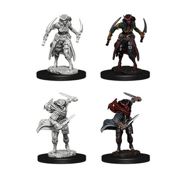 D&D Nolzurs Marvelous Unpainted Miniatures Tiefling Female Rogue