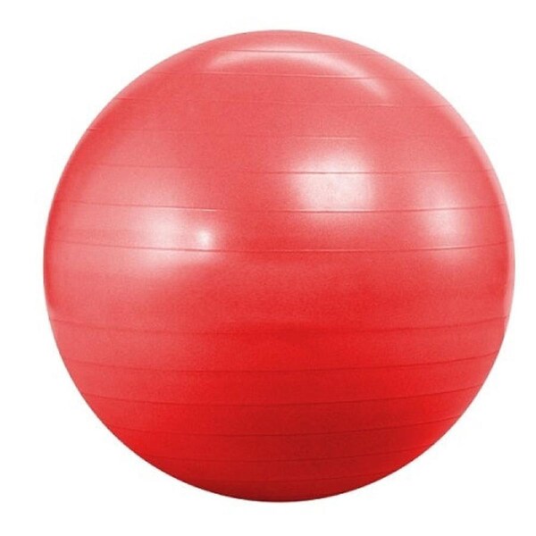 Morgan Gym Ball (55cm)