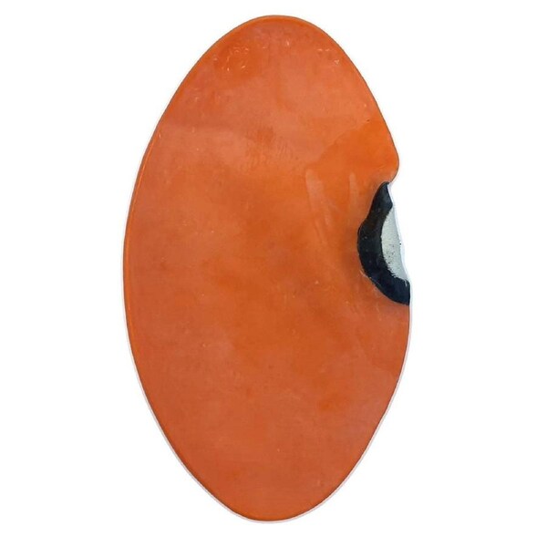 Morgan Floor To Ceiling Ball Bladder (Spare Part)