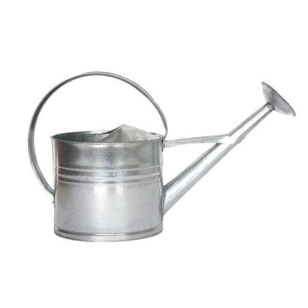 Esschert Design Zinc Metal Watering Can Garden Water Container Medium 8L Silver