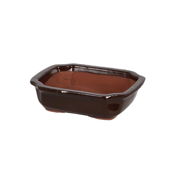Esschert Design Rectangular Bonsai Pot Gardening Accessory Small Brown