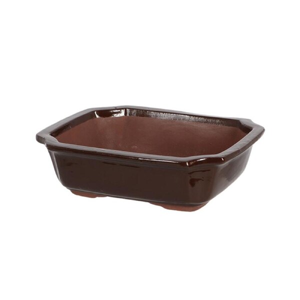 Esschert Design Rectangular Bonsai Pot Gardening Accessory Medium Brown