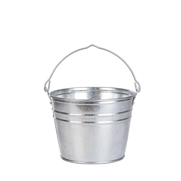 Esschert Design Garden Storage Zinc Bucket Water Container Small 25.2cm