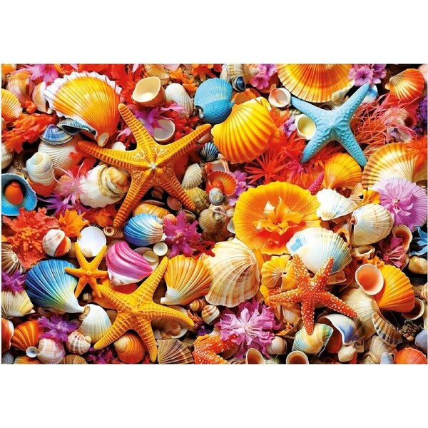 Educa - Shell Collage Puzzle 1000pc