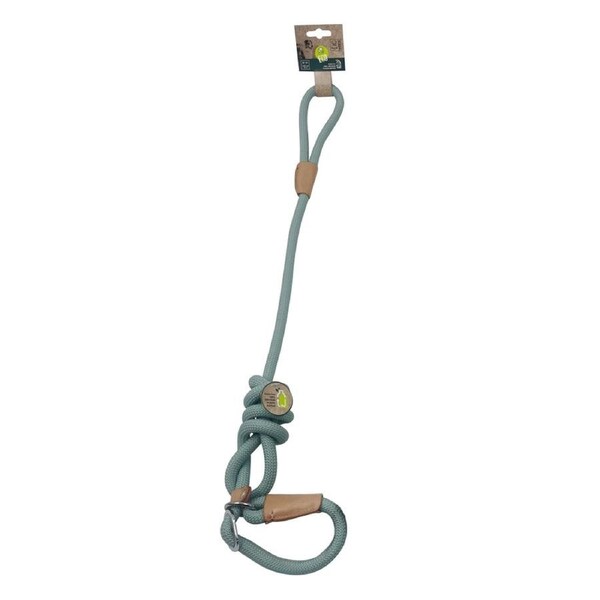 M-Pets 170cm Eco Dog/Puppy Pet Leash Walking Outdoor Training Lead Medium Green