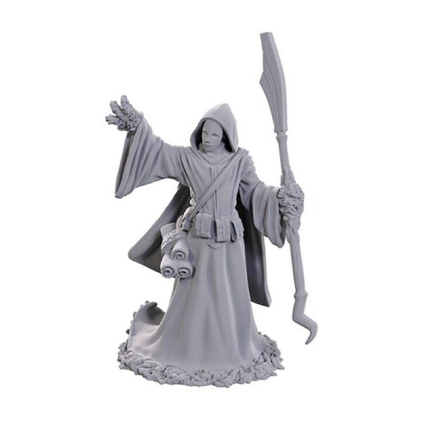 D&D Nolzur's Marvelous Miniatures: Star Spawn Larva Mage