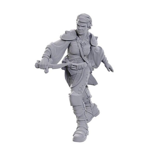 D&D Nolzur's Marvelous Miniatures: Swashbuckler