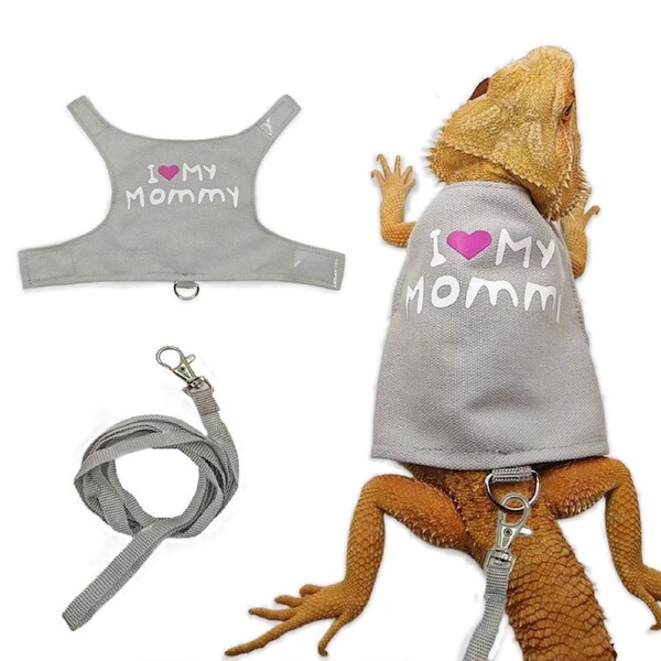 Lizard Walking Traction Rope Adjustable Mesh Vest Outdoor Climbing Pet Harness