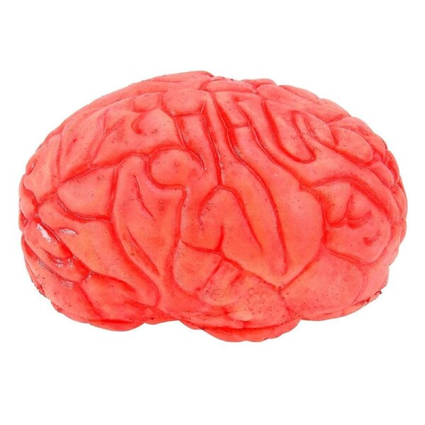 JOYBUY Halloween Decor Halloween Brain Prop Halloween Body Parts Halloween Bloody Brain Bloody Head Halloween Fake Brain
