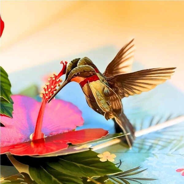 Hummingbird & Hibiscus 3D Pop Up Card