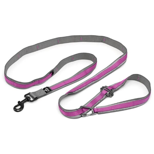 Kurgo Quantum 6-in-1 Dog Leash Version 2.0 in Violet