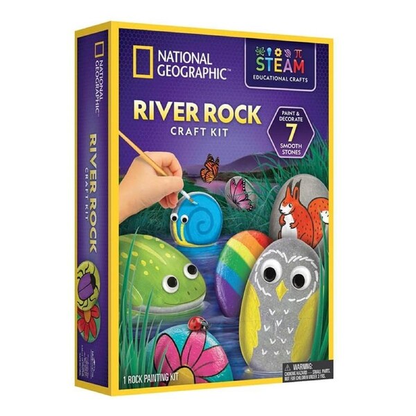 National Geographic Rock Painting Activity Kit