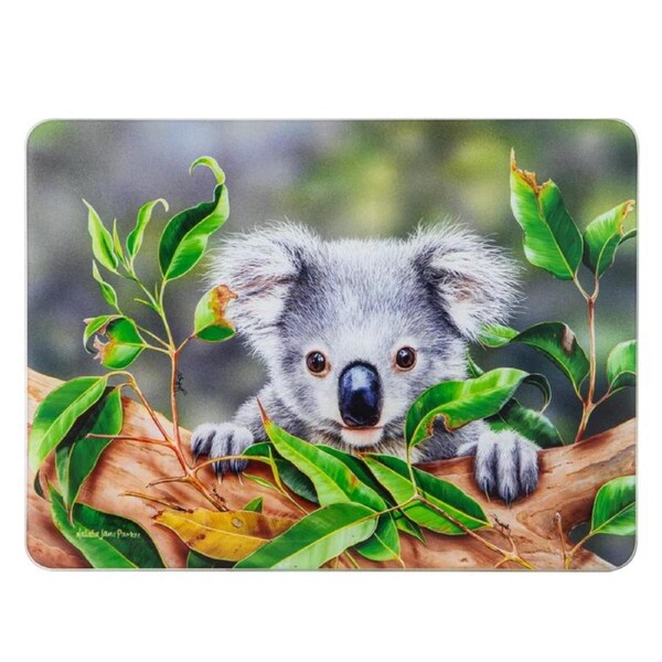 Ashdene Kitchen GLASS Babies in the Bush Koala Surface Saver 522364