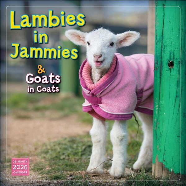 2026 Calendar Lambies In Jammies & Goats in Coats 16-Month Square Wall, Sellers S43349