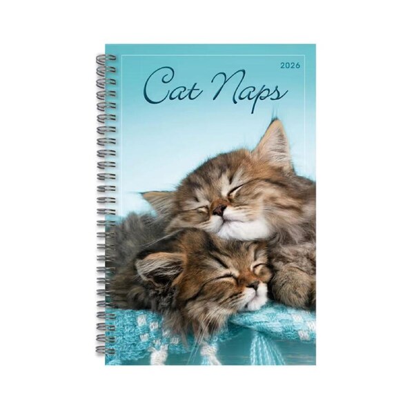 2026 Planner Cat Naps Week to View, Sellers S43974