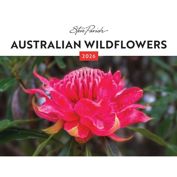2026 Calendar Steve Parish Australian Wildflowers Horizontal Wall, BrownTrout A05517