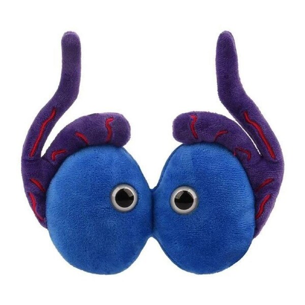 Giant Microbes Testicles Organ Educational Stuffed Science Plush Toy