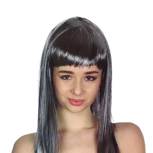 Long Grey Straight Costume Wig with Fringe – 70cm