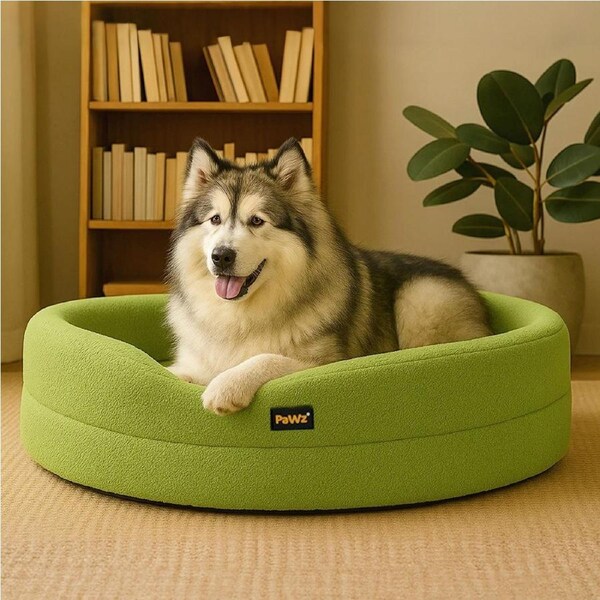 Pawz Pet Orthopedic Calming Bed Memory Foam Dog Sofa Donut Washable XXL Green