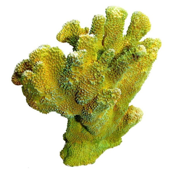 Copi Coral Isopora 27x15x27cm Aquarium Fish Ornament by Aqua One