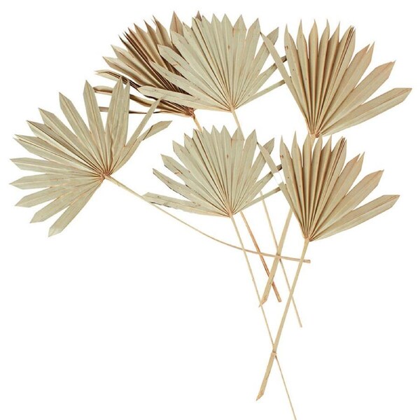 4x 2pc Maine & Crawford 55cm Artificial Sun Spear Fake Faux Plant Decor Natural