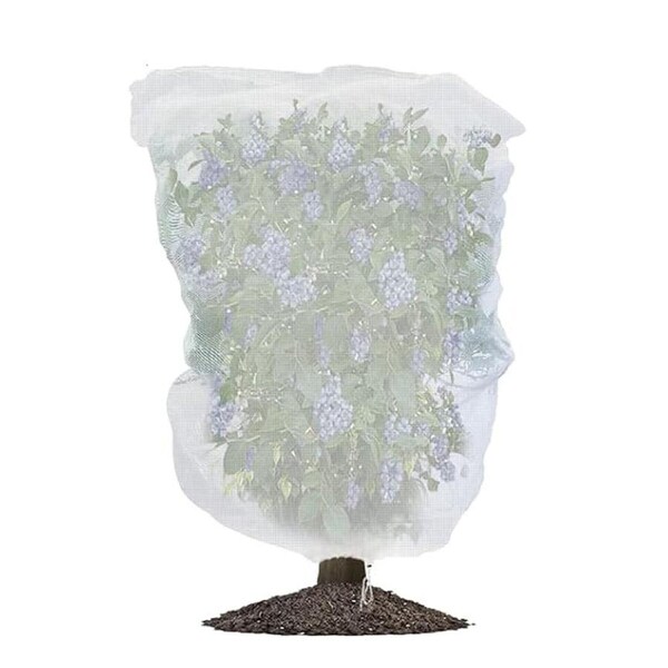 SpringUp Fruit Fly Net Insect Mesh Vegetable Garden Plant Crop Protection Cover Bags 1.5X1.6M