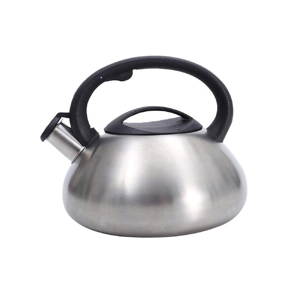 Stainless Steel Whistling Kettle 3L Matte Silver Stove Top Induction Gas Teapot