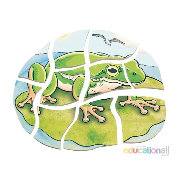 Beleduc Multilayer Puzzle Life Courses Frog Growth Education Kids/Children - 3y+