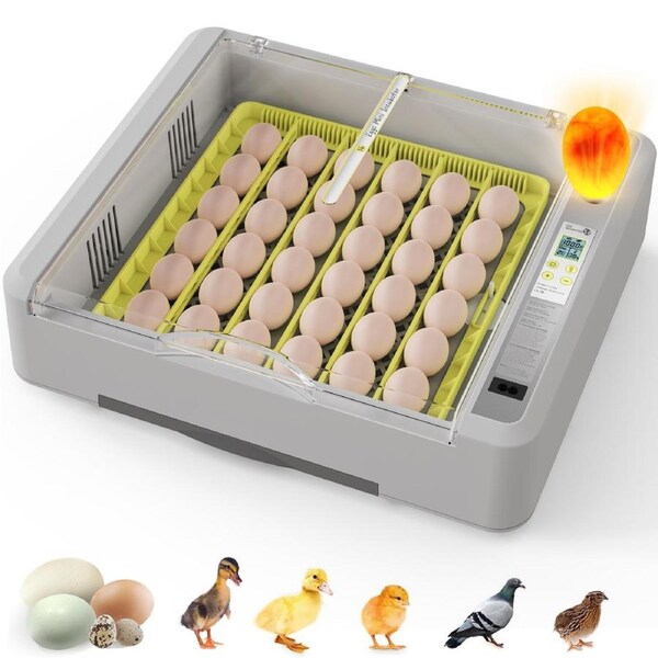 Advwin Automatic 36 Egg Incubator with LED Egg Candle
