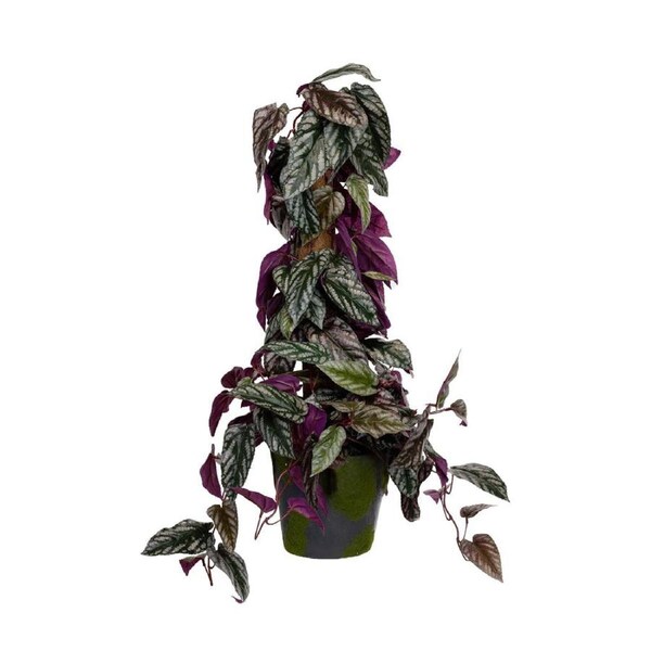 Glamorous Fusion Cissus Discolour Plant 68cm Artificial Plant Flower Arrangement Decorative On Pole