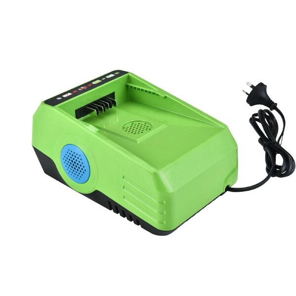 Neovolta 60V Lithium-ion Battery Charger