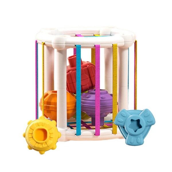 Nevenka Shape Sorter Block Stackable for Baby 3 Months+ Montessori Toys-Cylinder