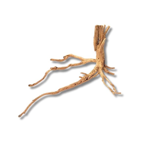 Dalua Gold Forest Wood XS 20-25cm