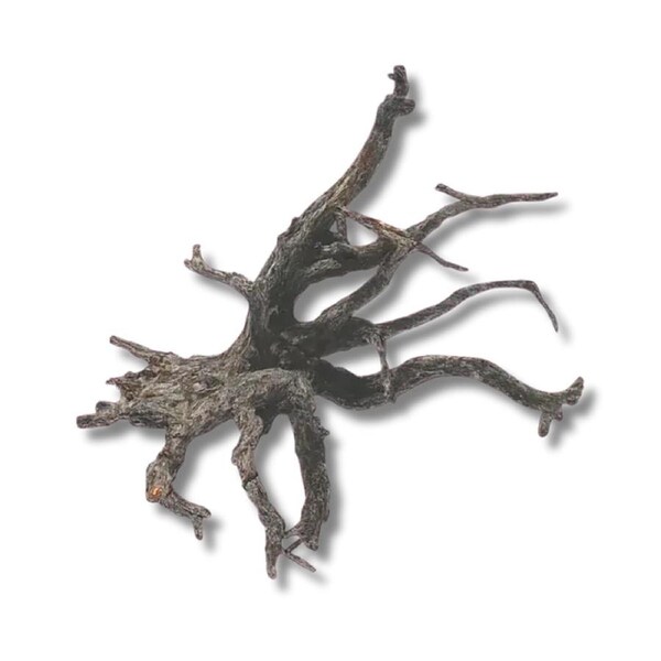 Dalua Haunted Forest Wood XS 20-25cm