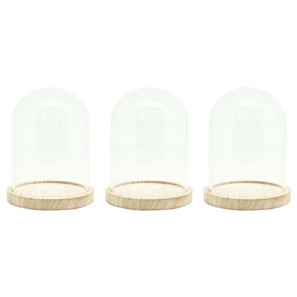 3PK Boyle Glass Cloche w/Wooden Base Display Case for Art/Collectables 17cm