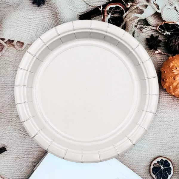 12pk 9 White Paper Plate