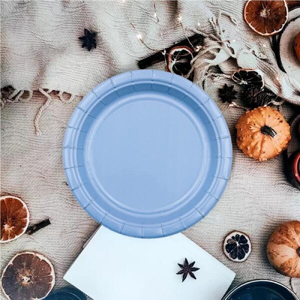 12pk 7 Baby Blue Paper Plate