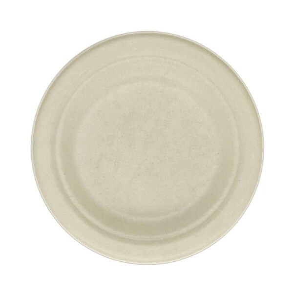 Eco Biodegradable Small Plates (Pack of 30)