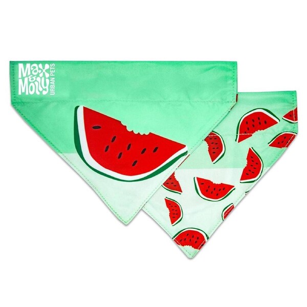 Bandana for Cats & Dogs (Watermelon) - Small