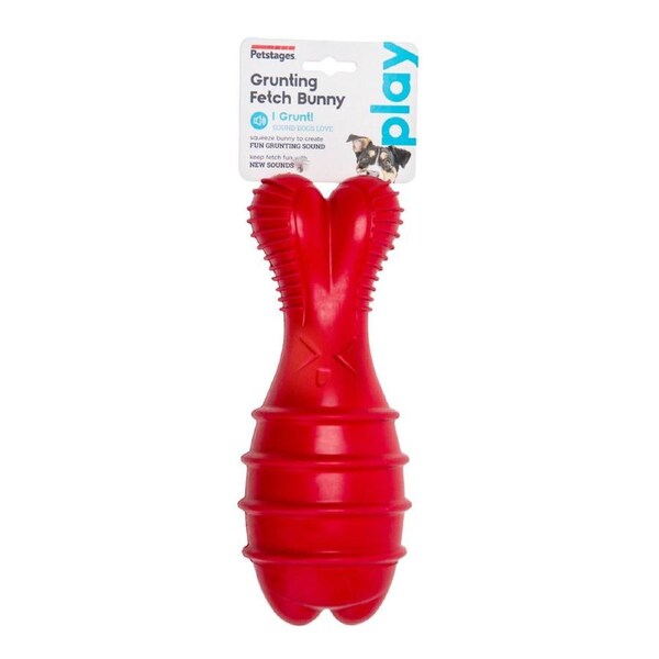 Grunt & Fetch Rubber Dog Toy (Bunny)